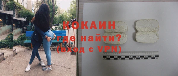 сатива Надым