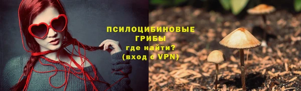 сатива Надым