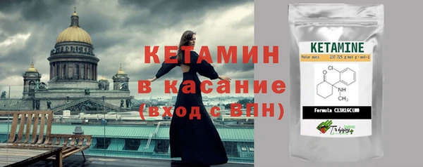 сатива Надым