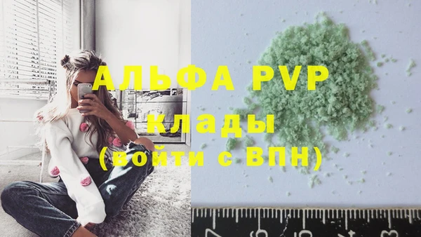 сатива Надым