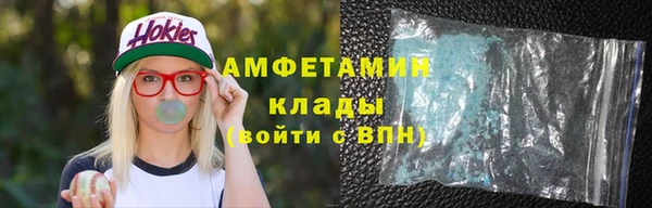 сатива Надым