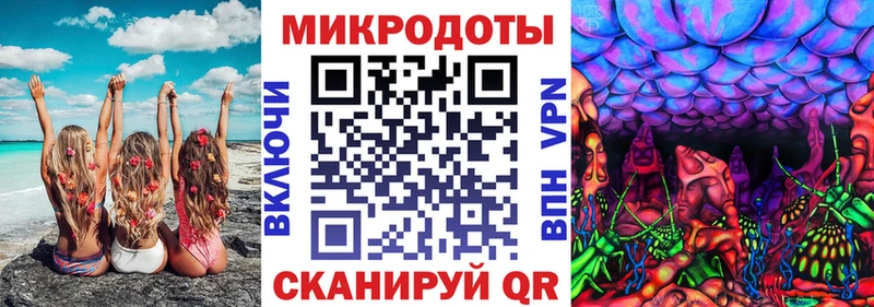 Псилоцибиновые грибы прущие грибы  Перевоз 