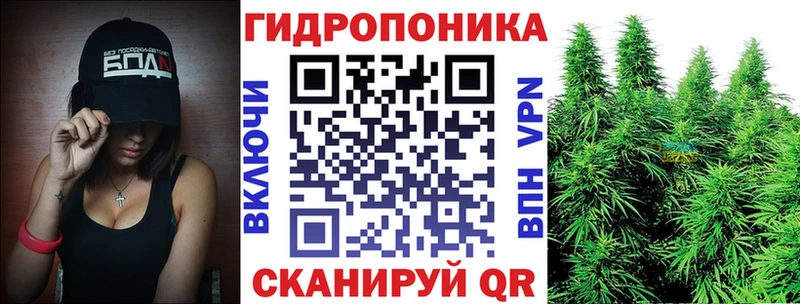 Канабис гибрид мега tor Перевоз